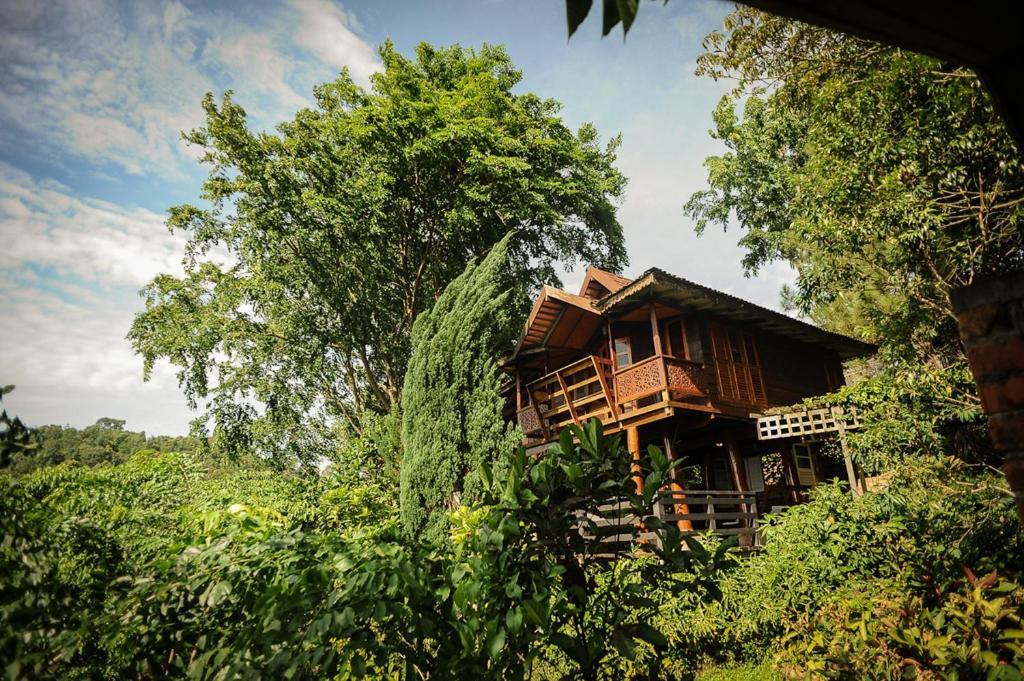 Malihom Private Estate Villa Balik Pulau Exteriör bild